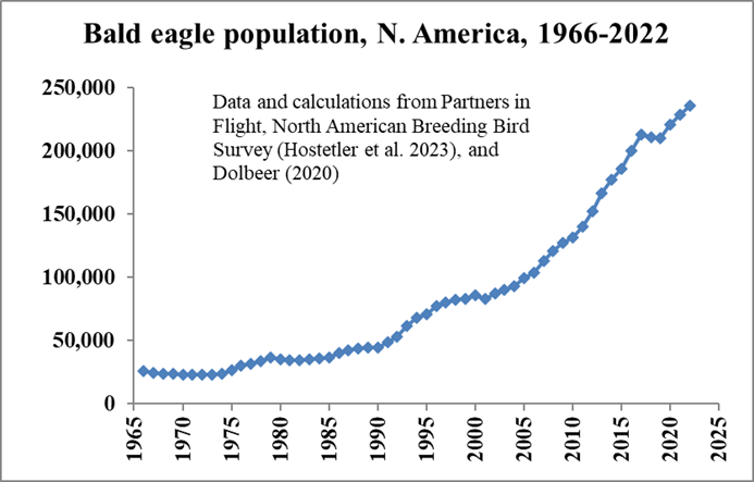 bald eagle population